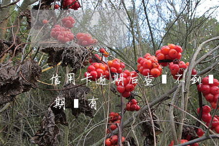 信用卡逾期后查詢不到額度(怎么查信用卡逾期沒有)