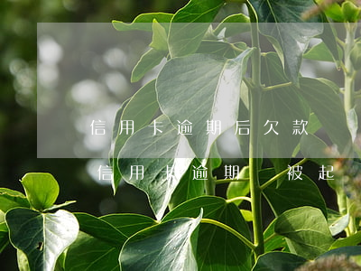 信用卡逾期后欠款會繼續(xù)增加嗎(欠信用卡逾期會被起訴嗎)
