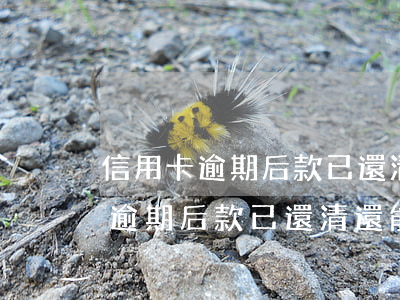 信用卡逾期后款已還清還能用卡嗎-信用卡逾期后款已還清還能用卡嗎安全嗎