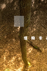 信用卡逾期后正確做法(信用卡 逾期了怎么辦)
