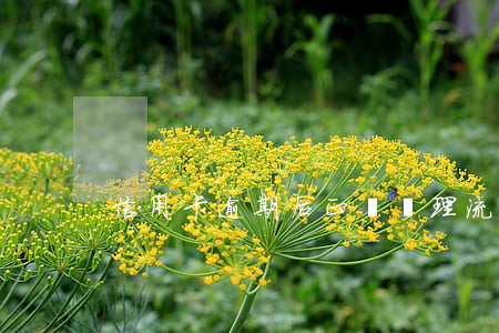信用卡逾期后正確處理流程 信用卡 還款 逾期