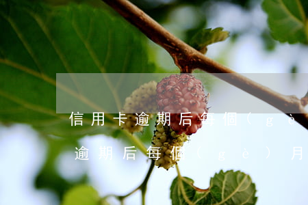 信用卡逾期后每個(gè)月還最低(信用卡逾期后每個(gè)月還最低)