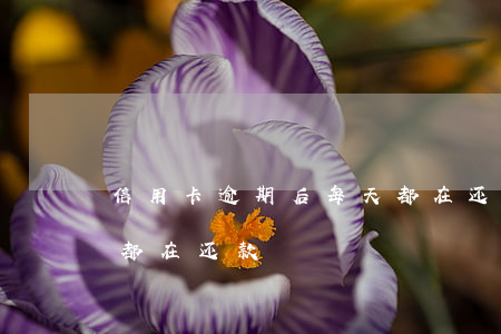 信用卡逾期后每天都在还 信用卡逾期后每天都在还款