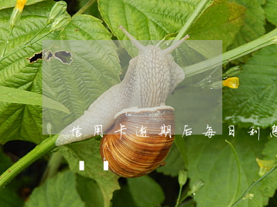 信用卡逾期后每日利息怎么算(逾期利息計算時間)