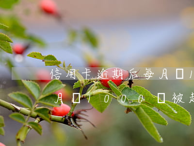 信用卡逾期后每月還10-信用卡逾期后每月還1000會被起訴嗎