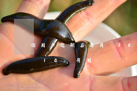 信用卡逾期后每月還10塊-欠信用卡每月還10塊有用嗎