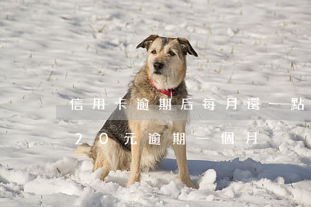 信用卡逾期后每月還一點會怎么辦-信用卡20元逾期一個月