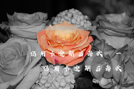 信用卡逾期后每次還一點(diǎn)可以嗎(信用卡逾期后每次還一點(diǎn)可以嗎)