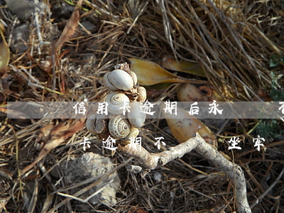 信用卡逾期后永遠還不了會坐牢嗎-欠信用卡逾期不還會坐牢嗎