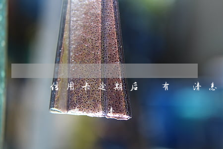信用卡逾期后沒有還清怎么辦（信用卡逾期后沒有還清）