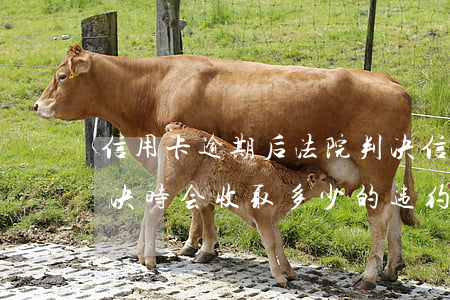 信用卡逾期后法院判决(信用卡逾期后法院判决时会收取多少的违约金)