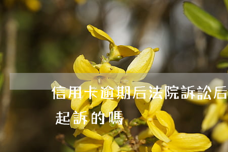 信用卡逾期后法院訴訟后果 有信用卡逾期被起訴的嗎