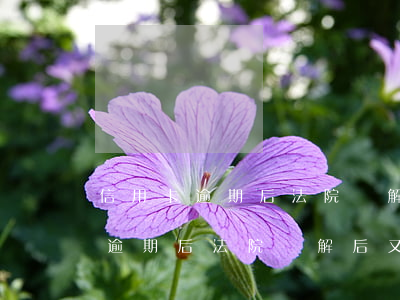 信用卡逾期后法院調解后又逾期了-信用卡逾期后法院調解后又逾期了怎么辦