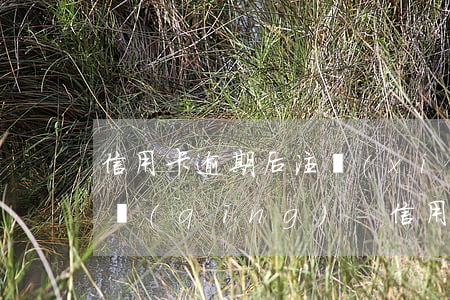 信用卡逾期后注銷(xiāo)了可以再申請(qǐng)-信用卡逾期后注銷(xiāo)了可以再申請(qǐng)嗎