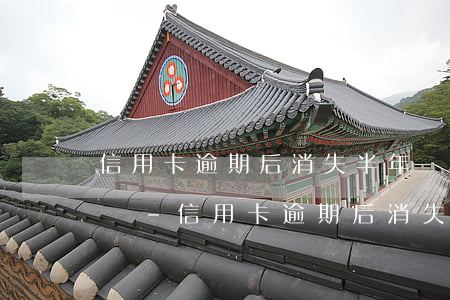 信用卡逾期后消失半年還能協(xié)商嗎-信用卡逾期后消失半年還能協(xié)商嗎怎么辦
