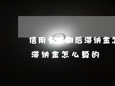信用卡逾期后滞纳金怎么算的(信用卡逾期后滞纳金怎么算的)