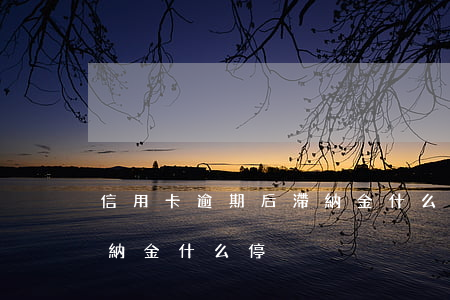 信用卡逾期后滯納金什么停(信用卡逾期后滯納金什么停)