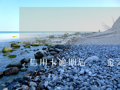 信用卡逾期后滯納金太高