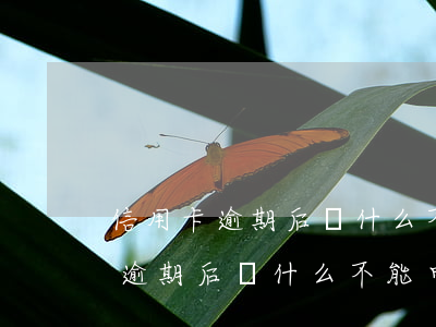 信用卡逾期后為什么不能申請分期-信用卡逾期后為什么不能申請分期還款