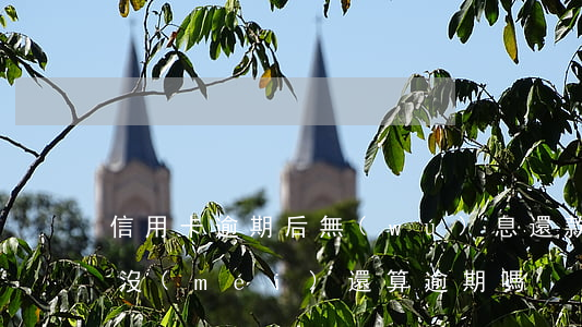 信用卡逾期后無(wú)息還款(信用卡利息沒(méi)還算逾期嗎)