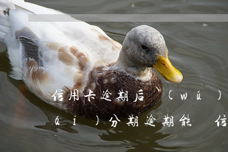 信用卡逾期后無(wú)法辦理分期(來(lái)分期逾期能辦信用卡嗎)