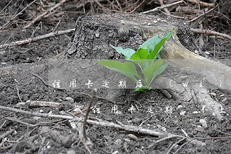 信用卡逾期后無(wú)法還款的正確做法-我信用卡逾期還不上怎么辦