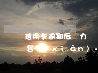信用卡逾期后無力償還不能承認(rèn)套現(xiàn)-信用卡逾期后無力償還不能承認(rèn)套現(xiàn)怎么辦