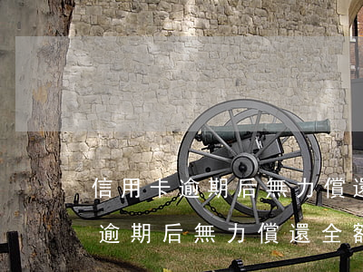 信用卡逾期后無力償還全額怎么辦-信用卡逾期后無力償還全額怎么辦理