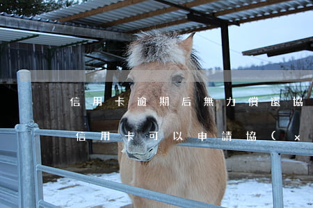 信用卡逾期后無力償還協(xié)商-欠信用卡可以申請協(xié)商還款