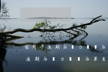 信用卡逾期后無力償還后果是什么-信用卡逾期后無力償還后果是什么呢