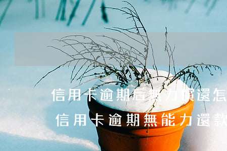 信用卡逾期后無力償還怎么協(xié)商(信用卡逾期無能力還款怎么跟銀行協(xié)商)