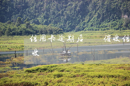 信用卡逾期后無視催收 信用卡逾期后無視催收