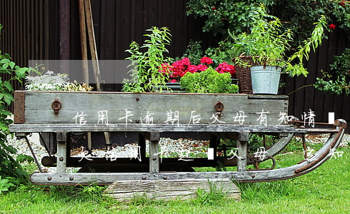信用卡逾期后父母有知情權(quán)嗎(欠信用卡起訴父母一定知情嗎)