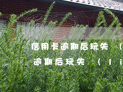 信用卡逾期后玩失聯(lián)-信用卡逾期后玩失聯(lián)