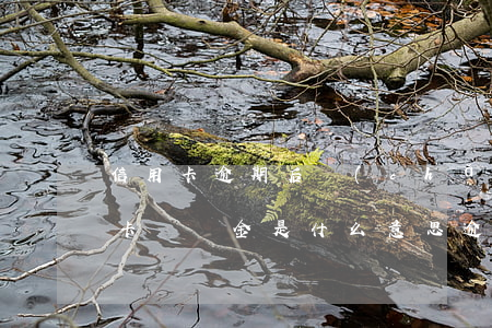 信用卡逾期后產(chǎn)生違約金(信用卡違約金是什么意思逾期啦嗎)