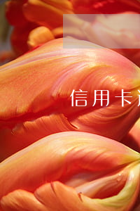 信用卡逾期后 用两年-信用卡逾期后 用两年