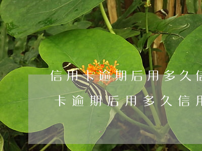 信用卡逾期后用多久信用恢復(fù) 信用卡逾期后用多久信用恢復(fù)好