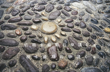 信用卡逾期后申請(qǐng)免違約金(信用卡逾期后申請(qǐng)免違約金)