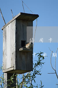 信用卡逾期后申請(qǐng)取消了(信用卡逾期后申請(qǐng)取消了)