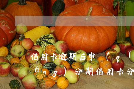 信用卡逾期后申請(qǐng)超長(zhǎng)分期(信用卡分期)