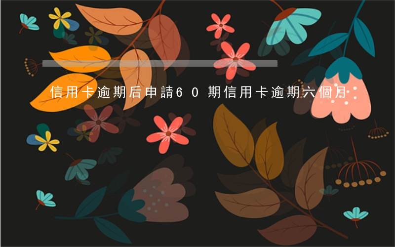 信用卡逾期后申請60期(信用卡逾期六個月)