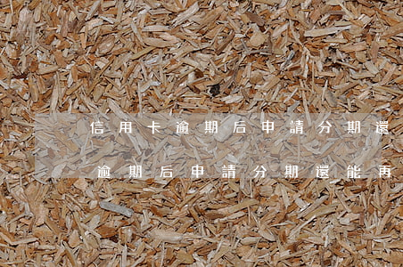 信用卡逾期后申請分期還能再用嗎-信用卡逾期后申請分期還能再用嗎
