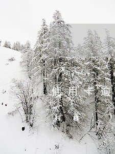 信用卡逾期后瘋漲利息(信用卡逾期利息會(huì)一直漲嗎)