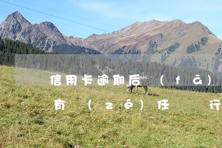 信用卡逾期后發(fā)卡機構(gòu)有責(zé)任嗎 銀行卡信用卡逾期有什么后果