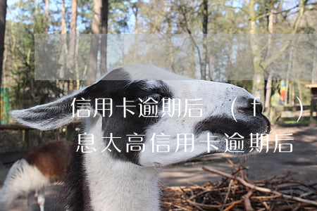 信用卡逾期后發(fā)現(xiàn)利息太高 信用卡逾期后發(fā)現(xiàn)利息太高怎么處理