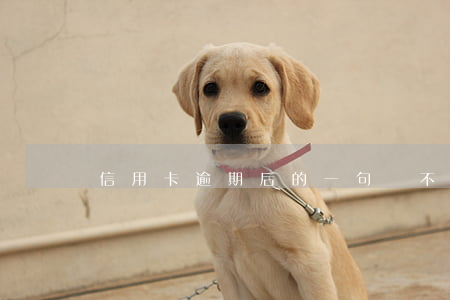 信用卡逾期后的一句話(不小心信用卡逾期)