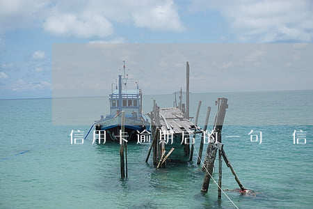 信用卡逾期后的一句話(信用卡逾期?)
