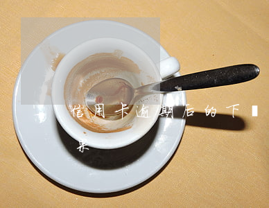 信用卡逾期后的下場(10張信用卡逾期的后果)