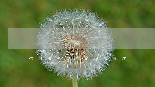 信用卡逾期后的催債順序