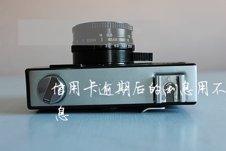 信用卡逾期后的利息用不用還(信用卡 逾期利息)